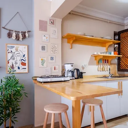 Colorful Modern Flat With View 5-min Walk To Istiklal Avenue In Beyoglu Apartment